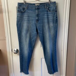 Everlane the Curvy Cheeky raw hem ankle length jean women’s size 35 regular